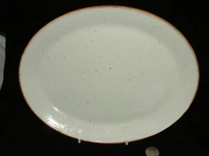 J & G MEAKIN LIFESTYLE 12" SERVING PLATTER OVEN TO TABLE ENGLAND - Picture 1 of 2