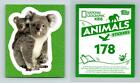 Koalas #178 National Geographic Kids Animals 2019 Topps Sticker
