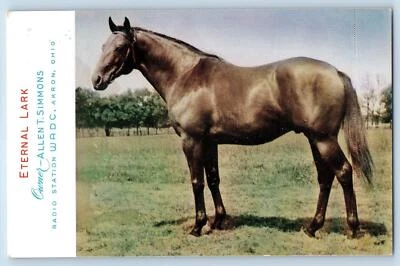 Akron Ohio Postal Eternal Lark Radion Station WADC Anuncio c1940 De Colección Foto 1 de 2