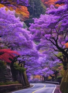 Purple Jacaranda Tree | 2 feet Tall| Elegant Tree | Live Plant | Free Shippin - Picture 1 of 4