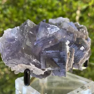306g 11x7x4cm Phantom Matrix Dark Purple Fluorite from Balochistan, Pakistan - Picture 1 of 4