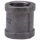 Anvil 0810080606 1' Black Malleable Coupling Lead Free 150 PSI