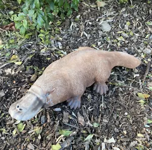Platypus Statue Ornament Animal Concrete Cement Garden Australian Made Large - Bild 1 von 5