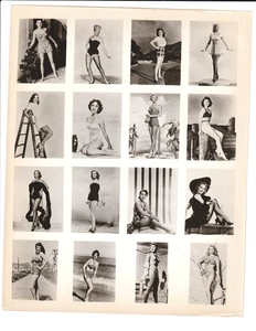 HOLLYWOOD STARLETS " pin-up/bathing suits" COMPOSITE 1950s mail-out PHOTO sheet - Picture 1 of 2