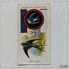 Player Cigarette Card Boy Scout & Girl Guide #45 Swallow (Cc95)