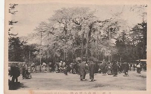 JAPÓN, MARUYAMA PARQUE DE CEREZAS UN VIEJO PC COMO NUEVO - Imagen 1 de 2