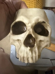 Realistic Plastic Skull Planter - Picture 1 of 9