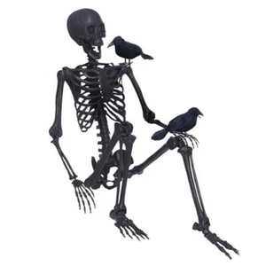 5.4Ft Halloween Skeleton,Posable Skeleton Full Size Skeleton with Movable - Picture 1 of 7