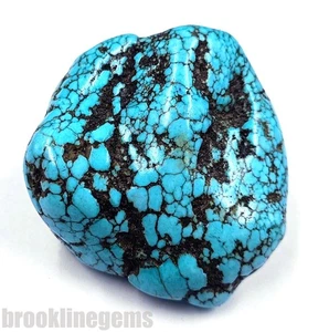 EGL Certified 282.0 Ct Natural Sky Blue Turquoise Rough Gems from Arizona 5NSD - Picture 1 of 6