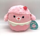 Squishmallows Hybrid Sweets Chloe the Strawberry Poodle 8" Inch NWT NEW