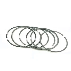 Juego de anillos de pistón STD de 110 mm para Nissan 12040-90008 UD3 3076cc U680, 14825cc - Imagen 1 de 7