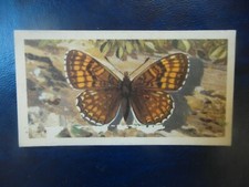 Great Britain Brooke Bond original 1963 tea card "British Butterflies",  No.17. 