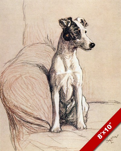 Foto 1 di 1