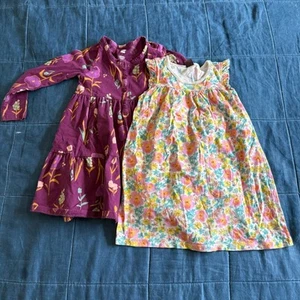 Tea Collection Floral Dress Bundle of 2 Size 4T - Picture 1 of 7