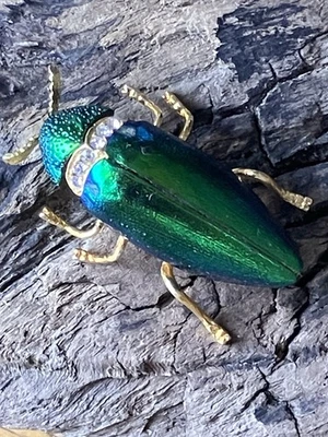 Broche real Scrab Beetle chapado en oro con detalles de piedra de cristal Foto 1 de 4