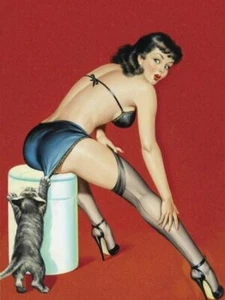 Playful Pussy - Peter Driben Sexy Brunette Pin Up Kitty Cat Kitten Blue Bra 😍 - Imagen 1 de 1