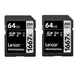 Professional 1667x SD Karte 64GB 2er-Pack Speicherkarte SDXC UHS-II Bis zu 25... - Picture 1 of 7