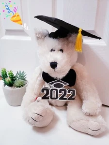 Dan Dee collectors choice teddy bear Graduation Bear 12-16" - Picture 1 of 5