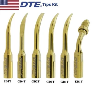 100% Woodpecker DTE Dental Ultrasonic Piezo Scaler LED Handpiece HD-7L Tips Kit - Picture 1 of 2