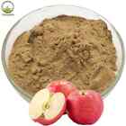 Extrait de peau de pomme biologique polyphénol poudre d'extrait de peau de pomme 250 g