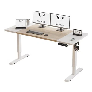 63" Modernchamp Electric Standing Desk Height Adjustable Sit Lifting Home Table - Picture 1 of 10