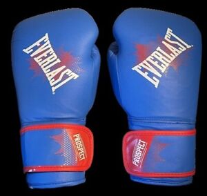 Everlast Boxing Gloves Sparring Gloves for Fighting Made of Quality Leather