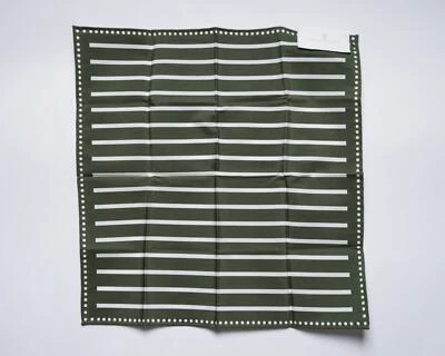 Brunello Cucinelli $195 NWT Cotton Pocket Square Green White Striped Dot Print - Image 1 of 4