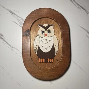 Vintage 1970s Hand painted Owl Wooden Wall Hanging 11”x 7.5” MCM - Picture 1 of 10