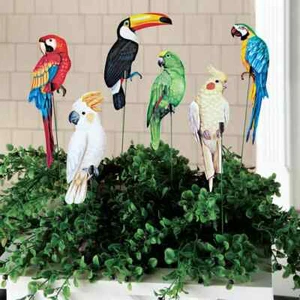 Set of 6 Realistic Tropical Parrots Birds Garden Stakes Yard Decor - Picture 1 of 2