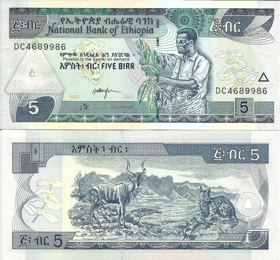 Ethiopia 5 birr 2017 P-47h UNC - Image 1 of 1