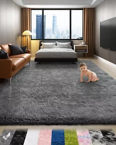 Area Rugs for Bedroom Living Room, Grey Fluffy Fuzzy Shag Shaggy Soft Plush Carp - Picture 1 of 8