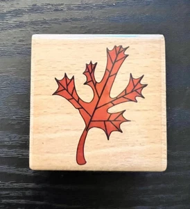 Sello de goma montado en madera hoja de otoño de Sarah Beise - Imagen 1 de 4