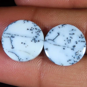 Natürlich Dendrite Opal Paar Runde Form Lose Edelstein 15.15 Cts. (15x15x03 MM) - Bild 1 von 6