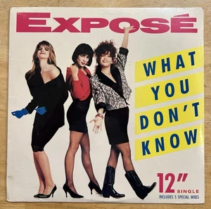 Expose What You Don't Know Sealed 12 Inch Single Arista Records - Picture 1 of 2
