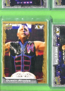 Dustin Rhodes-AEW-2022 Upper Deck *Gold* Card-#46-All Elite Wrestling-Near Mt/Mt - Picture 1 of 1