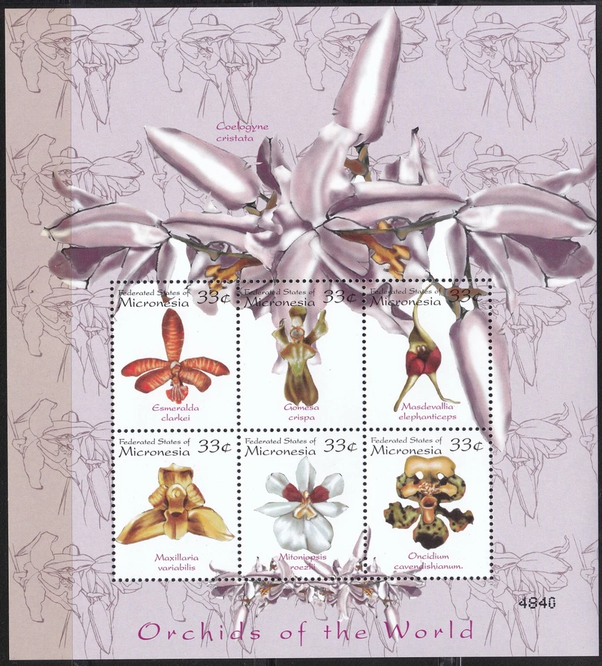 Micronesia 2000 Orchids of the world (III) Sc-336 Mini-Sheet MNH OG - US Seller - Image 1 of 1