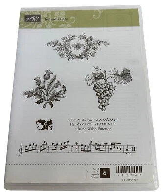 Набор резиновых штампов Stampin Up Natures Pace с прозрачным креплением виноград музыкальная граница пчела 6 - Изображение 1 из 4