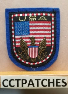 VINTAGE USA AMERICAN FLAG TRAVEL SOUVENIR PATCH - Picture 1 of 2