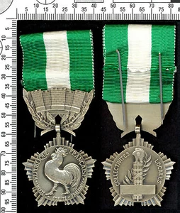 Local Communities Medal. Large module, unattributed. Silver - Picture 1 of 1