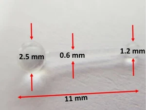 Invisible Transparent Clear Nose Stud for Students Nurse Employees Workers - Picture 1 of 6