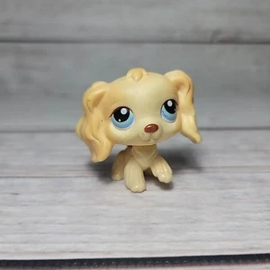 LITTLEST PET SHOP COCKER SPANIEL #91 HUND LPS FIGUR HASBRO HELLBRAUN BLAUE AUGEN MAGNET - Bild 1 von 4
