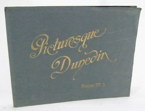 Picturesque Dunedin and Surroundings - 1910 - Foto 1 di 2