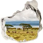 XXL Wandbild Wandtattoo Aufkleber 3D Effekt 75x75 cm Landschaft Naivasha-See