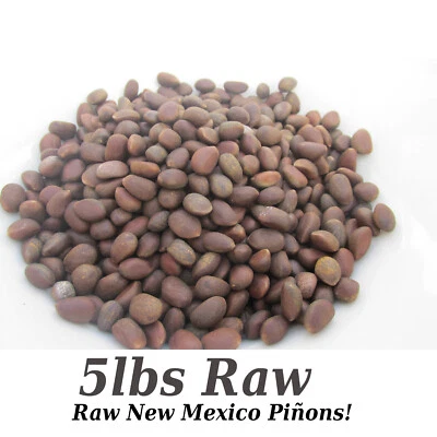 GRAND CANYON SILVER New Mexico Piñon, Pinon Pine Nuts, 2024 Harvest, Very Limited Time, 5lbs Raw