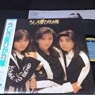 LP Record With Obi Ushirogami Hikaretai C25A0591 Shizuka Kudo Akiko Ikuina P5