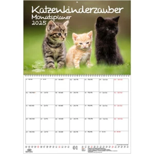 Katzenkinderzauber Planer DIN A2 Kalender für 2025 Katzenkinder Katzenbabys - Se - Bild 1 von 1