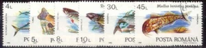 ROMANIA 1992 FAUNA MARINA PESCI DIVERSI 6 VAL. Cat.U.4776-81 - Foto 1 di 1