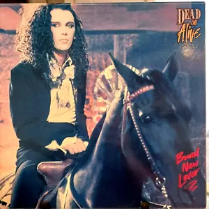 Dead Or Alive - Brand New Lover - 12" Canada - Picture 1 of 4