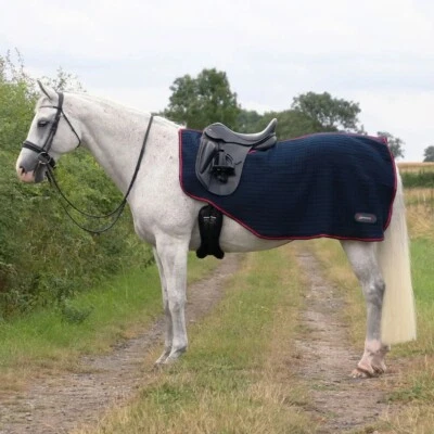 DefenceX System Cool Control Exercise Sheet - Navy/Red - Image 1 of 2