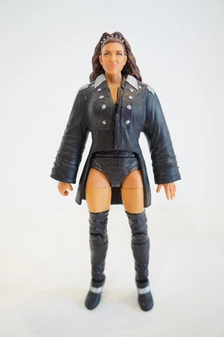 WWE Stephanie McMahon Elite 50 Mattel Wrestling Action Figure Cover